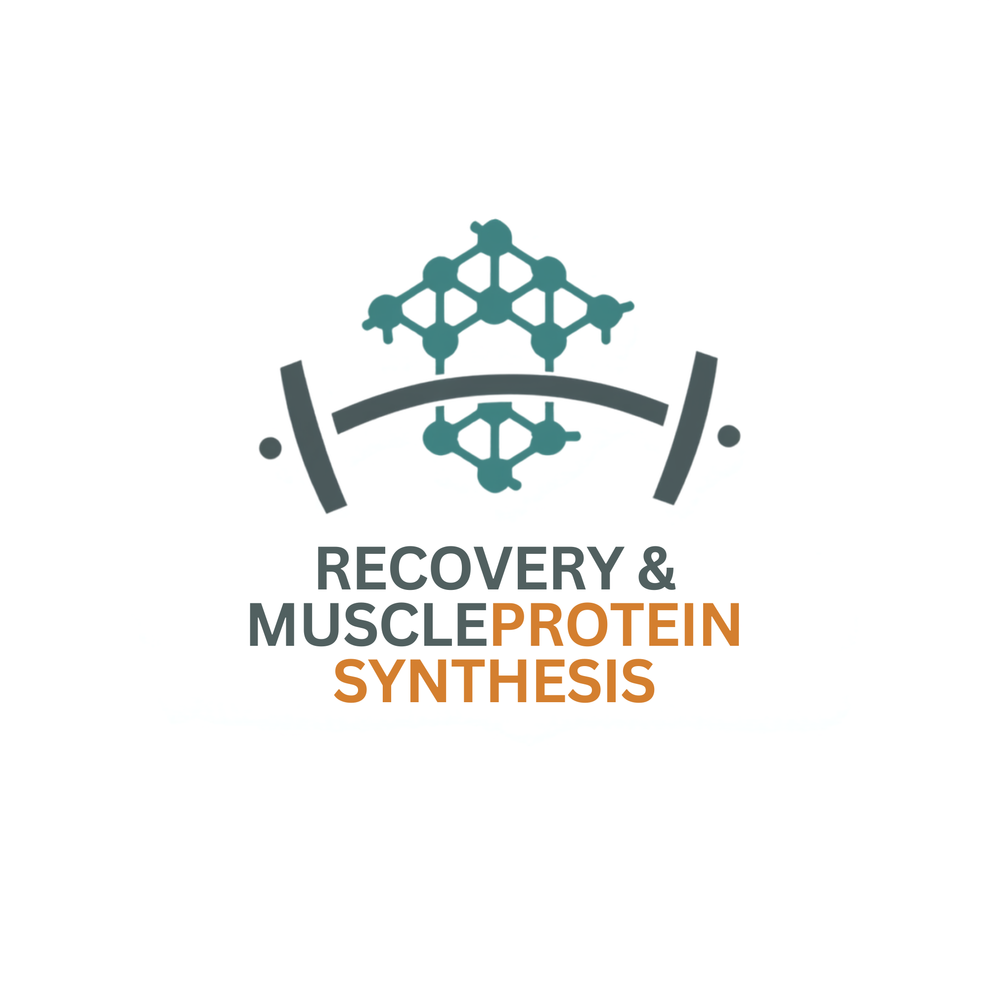 Recovery & Protein Synthesis B